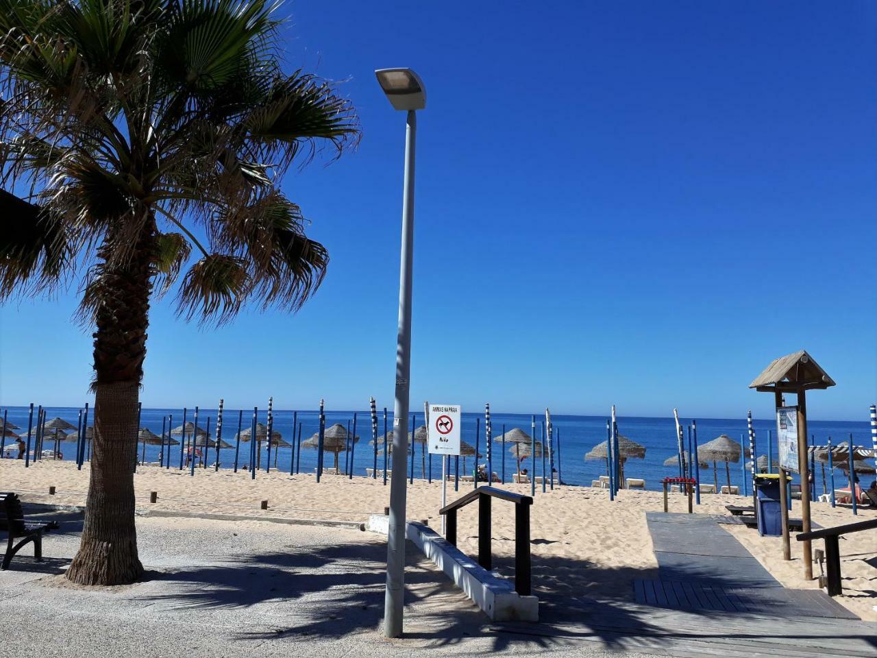Abmar- Por-Do-Sol, Vista Mar, Remodelado, Wifi, 80Mt Praia クアルテイラ エクステリア 写真